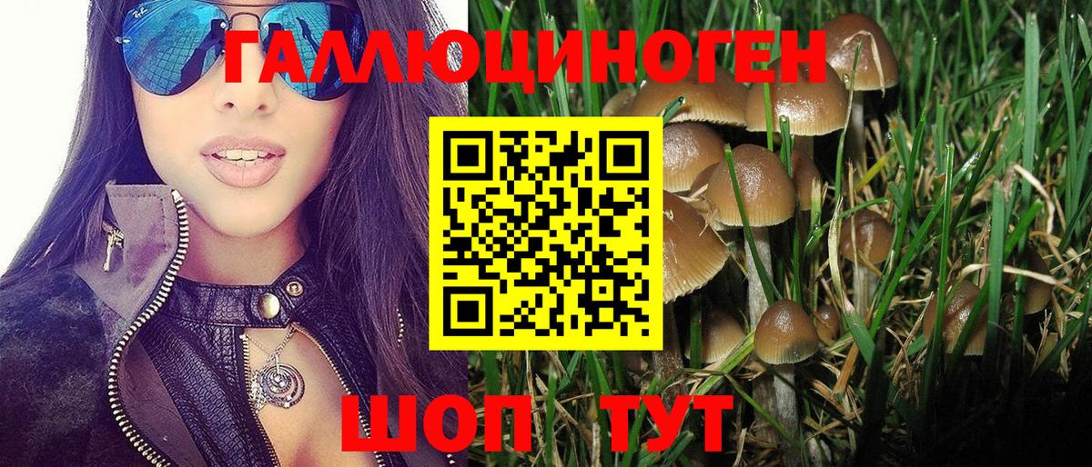 Галлюциногенные грибы Magic Shrooms Подольск