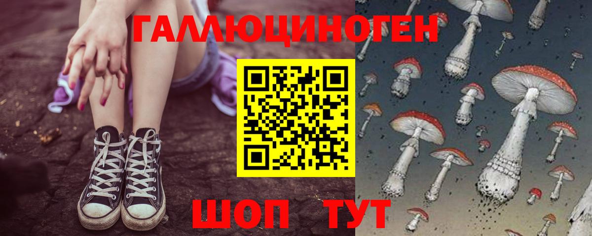 Подольск  Псилоцибиновые грибы MAGIC MUSHROOMS  купить наркоту  Вход с VPN  Псилоцибиновые грибы Magic Shrooms 